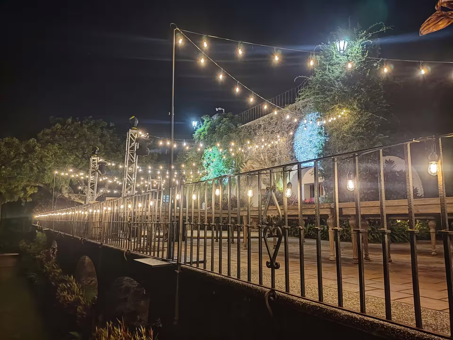 Serie de focos vintage tendida sobre un jardín